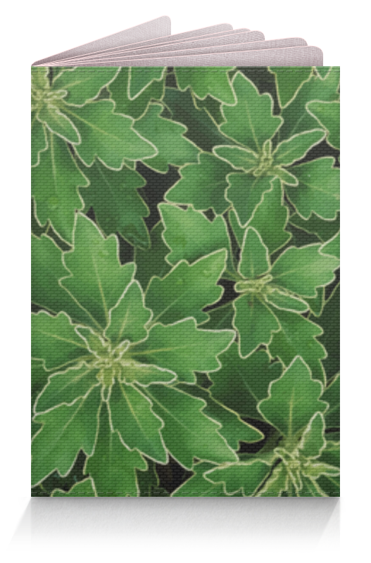 Printio Обложка для паспорта Зеленые листья
