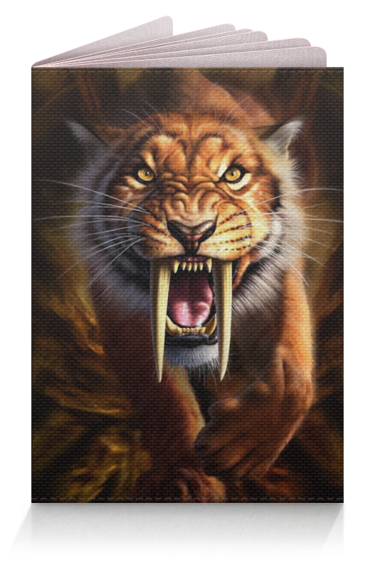 Printio Обложка для паспорта Тигры фэнтези printio обложка для паспорта тигры живая природа