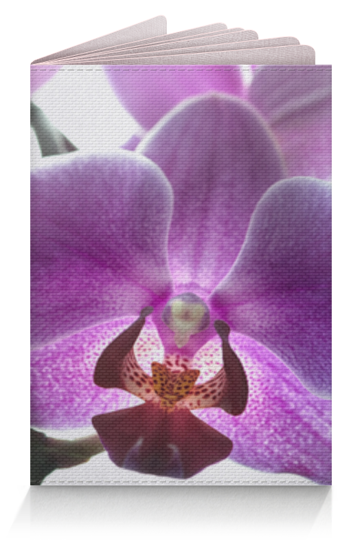цена Printio Обложка для паспорта Орхидея
