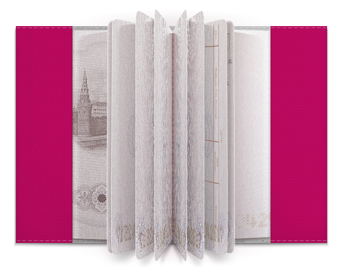 Заказать обложку для паспорта в Москве. Обложка для паспорта Hotline Miami от AstArt - готовые дизайны и нанесение принтов.