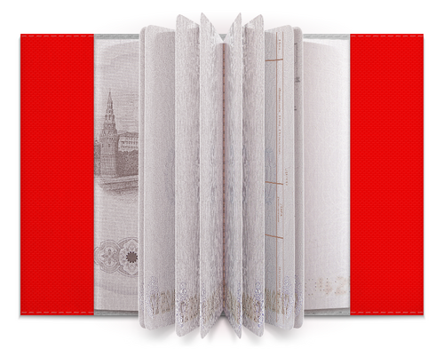 Заказать обложку для паспорта в Москве. Обложка для паспорта Love мандала от Koroleva - готовые дизайны и нанесение принтов.