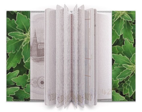 Заказать обложку для паспорта в Москве. Обложка для паспорта Зеленые листья от valezar - готовые дизайны и нанесение принтов.