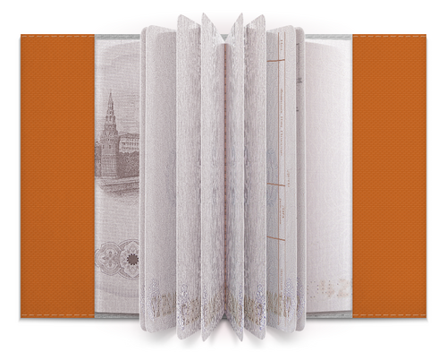 Заказать обложку для паспорта в Москве. Обложка для паспорта КТО ХОРОШИЙ МАЛЬЧИК? от ELENA ZHARINOVA - готовые дизайны и нанесение принтов.