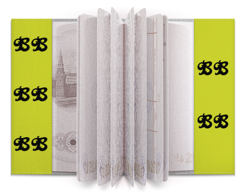 Заказать обложку для паспорта в Москве. Обложка для паспорта Bigbang мишки Кранк от nionilla - готовые дизайны и нанесение принтов.