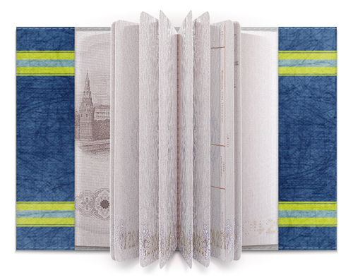 Заказать обложку для паспорта в Москве. Обложка для паспорта МЧС России от all4proffy@yandex.ru - готовые дизайны и нанесение принтов.