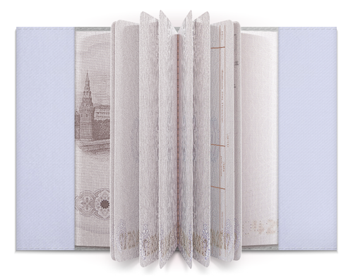 Заказать обложку для паспорта в Москве. Обложка для паспорта Котяра от Hop Shop - готовые дизайны и нанесение принтов.