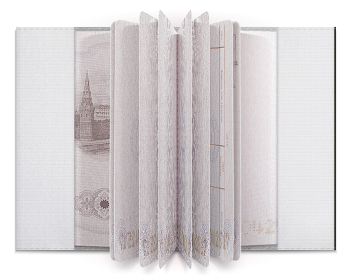 Заказать обложку для паспорта в Москве. Обложка для паспорта JungKook из BTS обложка для паспорта от Varya Varya - готовые дизайны и нанесение принтов.
