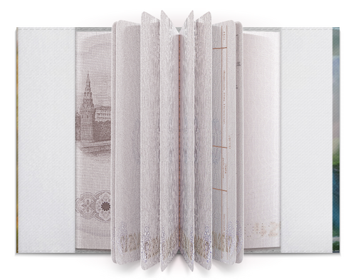 Заказать обложку для паспорта в Москве. Обложка для паспорта Секрет небес от ***XxGelyaxX***  - готовые дизайны и нанесение принтов.