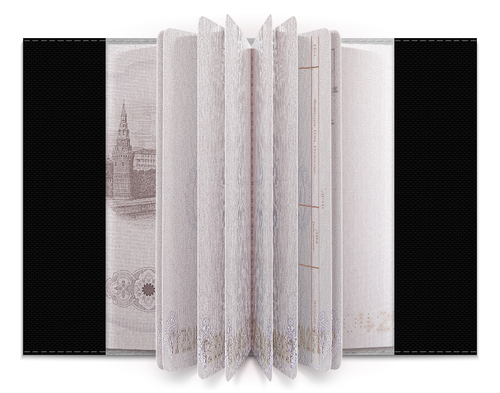 Заказать обложку для паспорта в Москве. Обложка для паспорта ISUZU от DESIGNER   - готовые дизайны и нанесение принтов.