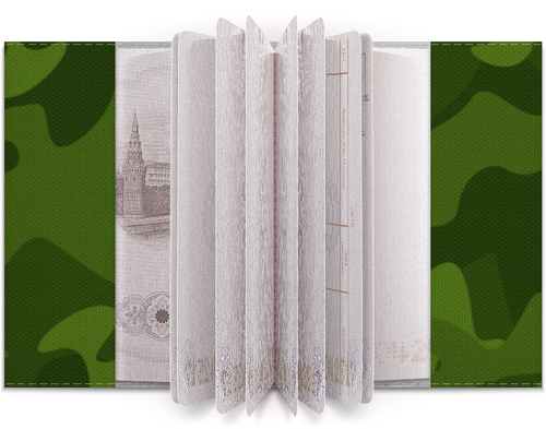 Заказать обложку для паспорта в Москве. Обложка для паспорта ДВ    от queen  - готовые дизайны и нанесение принтов.