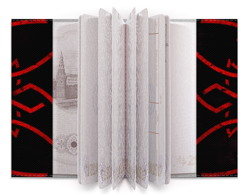 Заказать обложку для паспорта в Москве. Обложка для паспорта СОЛНЦЕ от Алексс Неро - готовые дизайны и нанесение принтов.