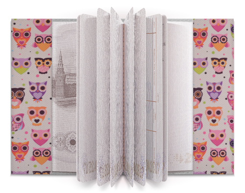 Заказать обложку для паспорта в Москве. Обложка для паспорта совы  от Mari_M - готовые дизайны и нанесение принтов.