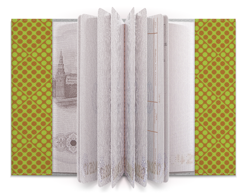 Заказать обложку для паспорта в Москве. Обложка для паспорта Горох в квадрате от valezar - готовые дизайны и нанесение принтов.