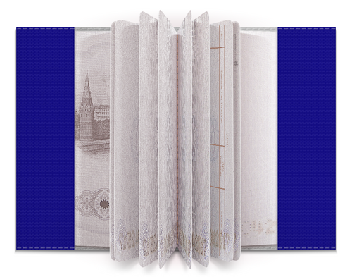 Заказать обложку для паспорта в Москве. Обложка для паспорта Ультрамарины (омега с черепом) от GeekFox  - готовые дизайны и нанесение принтов.