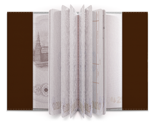 Заказать обложку для паспорта в Москве. Обложка для паспорта Саламандра. от Eva De Peron.  - готовые дизайны и нанесение принтов.