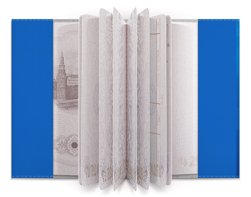 Заказать обложку для паспорта в Москве. Обложка для паспорта Снежинки от Елена Гришина - готовые дизайны и нанесение принтов.