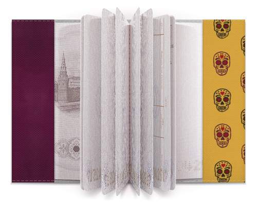 Заказать обложку для паспорта в Москве. Обложка для паспорта Фрида от Арина Кукушкина - готовые дизайны и нанесение принтов.