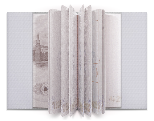 Заказать обложку для паспорта в Москве. Обложка для паспорта Александр Головин от Марина - готовые дизайны и нанесение принтов.