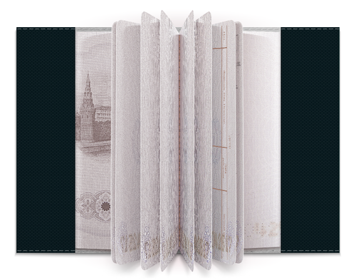 Заказать обложку для паспорта в Москве. Обложка для паспорта Music от esse - готовые дизайны и нанесение принтов.