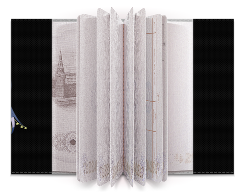 Заказать обложку для паспорта в Москве. Обложка для паспорта Блокнот с оригинальным персонажем Хириша Визз от shutlon@yahoo.com - готовые дизайны и нанесение принтов.