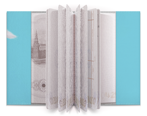 Заказать обложку для паспорта в Москве. Обложка для паспорта Снежок от tadashi - готовые дизайны и нанесение принтов.
