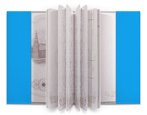 Заказать обложку для паспорта в Москве. Обложка для паспорта Rock Skull от Jimmy Flash - готовые дизайны и нанесение принтов.
