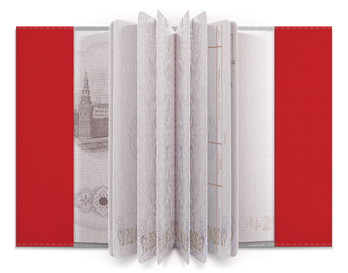Заказать обложку для паспорта в Москве. Обложка для паспорта Chairman Meow от forvard - готовые дизайны и нанесение принтов.