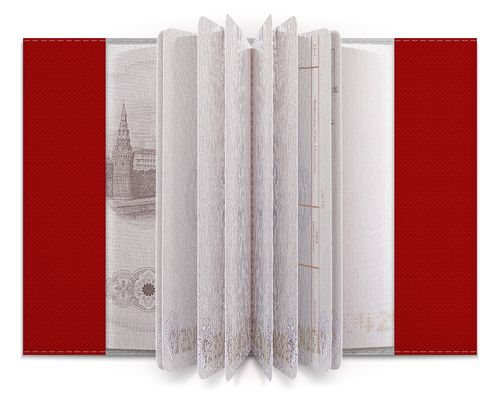 Заказать обложку для паспорта в Москве. Обложка для паспорта Созидай от Soluvel  - готовые дизайны и нанесение принтов.