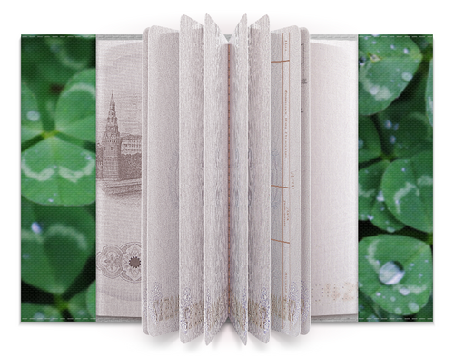 Заказать обложку для паспорта в Москве. Обложка для паспорта Клевер от FireFoxa - готовые дизайны и нанесение принтов.