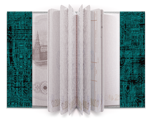 Заказать обложку для паспорта в Москве. Обложка для паспорта Сетчатая абстракция от Anna Lomachenko - готовые дизайны и нанесение принтов.