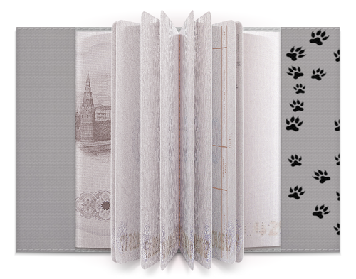 Заказать обложку для паспорта в Москве. Обложка для паспорта EXO (Wolf) серый от nionilla - готовые дизайны и нанесение принтов.