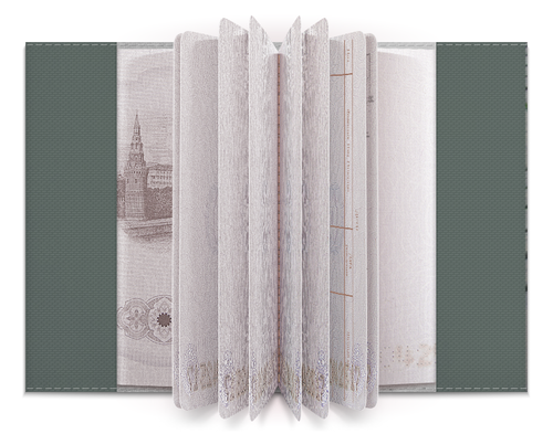 Заказать обложку для паспорта в Москве. Обложка для паспорта улицы от эклер - готовые дизайны и нанесение принтов.