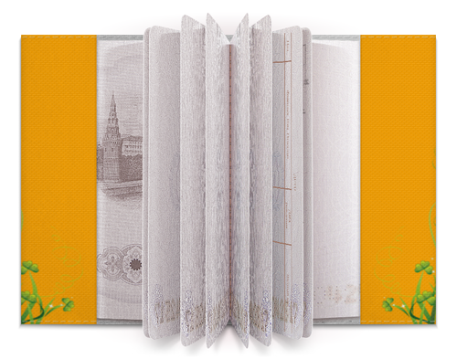 Заказать обложку для паспорта в Москве. Обложка для паспорта Без названия от alinacat92@mail.ru - готовые дизайны и нанесение принтов.