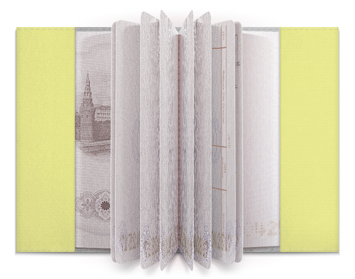 Заказать обложку для паспорта в Москве. Обложка для паспорта Kurt Cobain от Jimmy Flash - готовые дизайны и нанесение принтов.