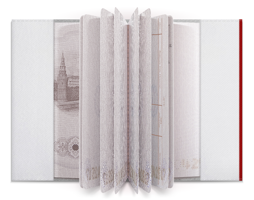 Заказать обложку для паспорта в Москве. Обложка для паспорта республика Кастовия от Никита Купреянов - готовые дизайны и нанесение принтов.