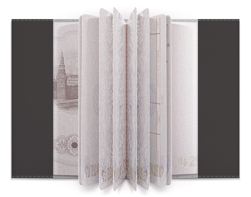 Заказать обложку для паспорта в Москве. Обложка для паспорта Для двоих от esse - готовые дизайны и нанесение принтов.