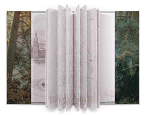 Заказать обложку для паспорта в Москве. Обложка для паспорта Утро в сосновом лесу от trend - готовые дизайны и нанесение принтов.