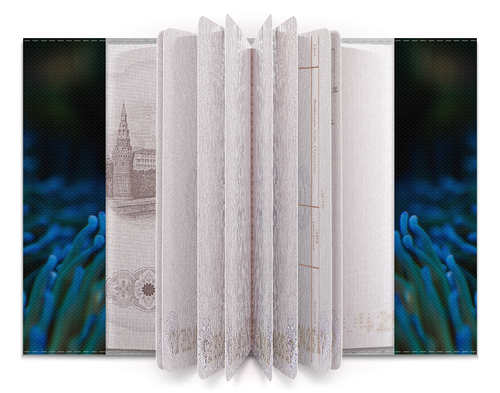 Заказать обложку для паспорта в Москве. Обложка для паспорта Семейка Клоунфиш от Оксана Музыка - готовые дизайны и нанесение принтов.