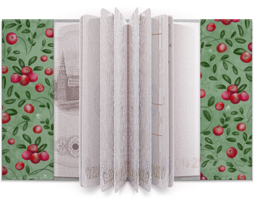 Заказать обложку для паспорта в Москве. Обложка для паспорта КЛЮКВА НА БОЛОТЕ от ELENA ZHARINOVA - готовые дизайны и нанесение принтов.