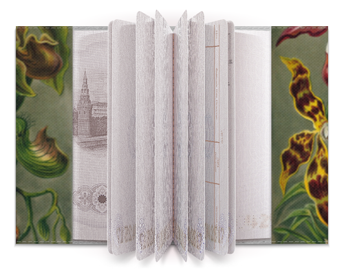 Заказать обложку для паспорта в Москве. Обложка для паспорта Орхидеи (Orchideae, Ernst Haeckel) от Apfelbaum - готовые дизайны и нанесение принтов.
