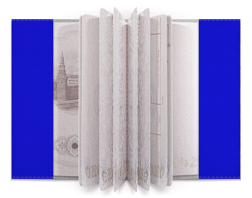 Заказать обложку для паспорта в Москве. Обложка для паспорта Букет-настроение. от Eva De Peron.  - готовые дизайны и нанесение принтов.