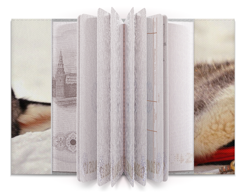 Заказать обложку для паспорта в Москве. Обложка для паспорта Хаски от solariren - готовые дизайны и нанесение принтов.