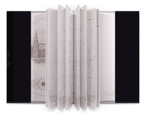Заказать обложку для паспорта в Москве. Обложка для паспорта Dragon Soul от elf907@mail.ru - готовые дизайны и нанесение принтов.