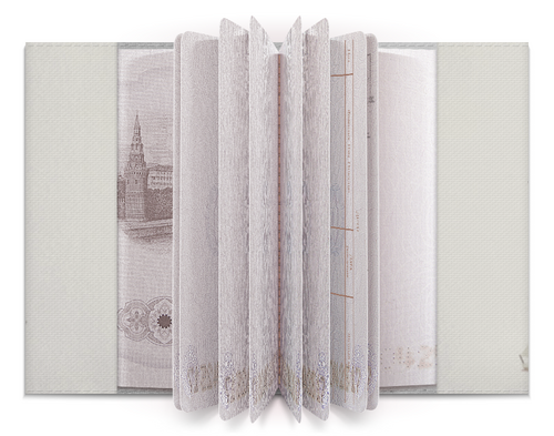 Заказать обложку для паспорта в Москве. Обложка для паспорта Серия: Всюдубуду от Andriy Agarkov - готовые дизайны и нанесение принтов.