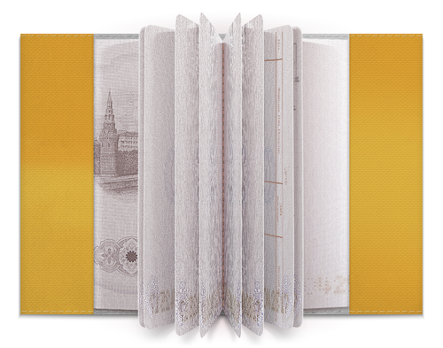 Заказать обложку для паспорта в Москве. Обложка для паспорта Снупи от tadashi - готовые дизайны и нанесение принтов.