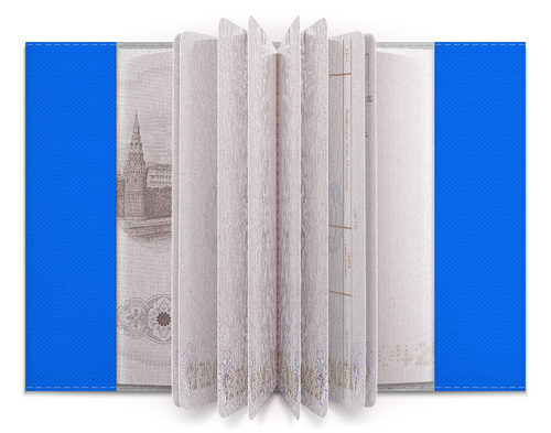 Заказать обложку для паспорта в Москве. Обложка для паспорта Dabbing Dog от skynatural - готовые дизайны и нанесение принтов.