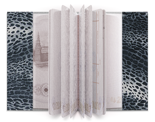 Заказать обложку для паспорта в Москве. Обложка для паспорта Документ от mango3000 - готовые дизайны и нанесение принтов.