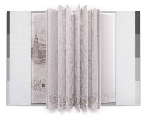 Заказать обложку для паспорта в Москве. Обложка для паспорта Без названия от vika.2580k@gmail.com - готовые дизайны и нанесение принтов.