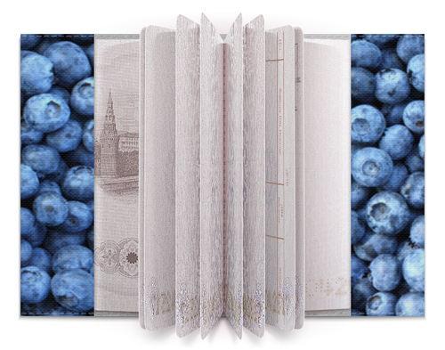 Заказать обложку для паспорта в Москве. Обложка для паспорта Черника от scoopysmith - готовые дизайны и нанесение принтов.