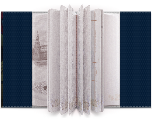 Заказать обложку для паспорта в Москве. Обложка для паспорта AMONG US от robus - готовые дизайны и нанесение принтов.
